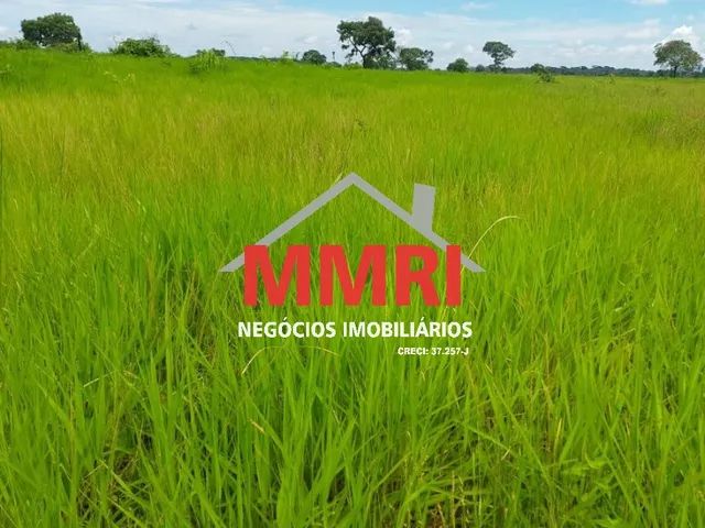 Imagem 4: FAZENDA RURAL em CASSILÂNDIA - MS, Área Rural