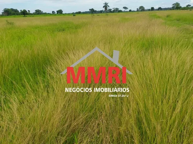 Imagem 7: FAZENDA RURAL em CASSILÂNDIA - MS, Área Rural