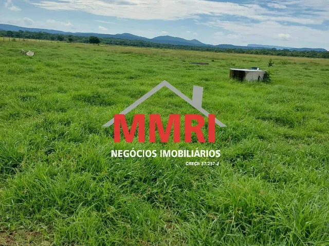 Imagem 10: FAZENDA RURAL em CASSILÂNDIA - MS, Área Rural