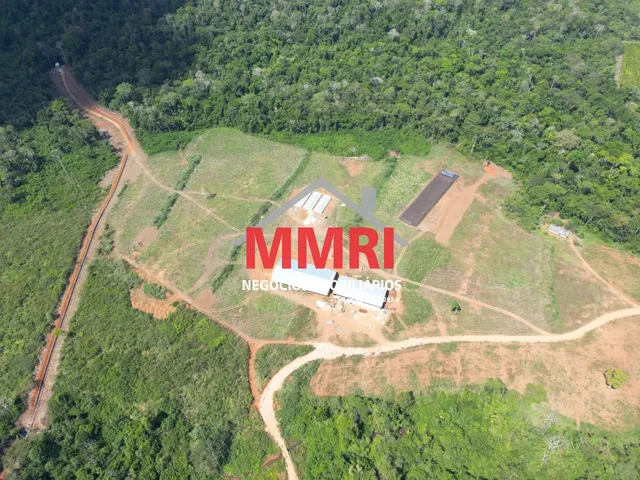 Imagem: FAZENDA RURAL em URUARÁ - PA, Rural
