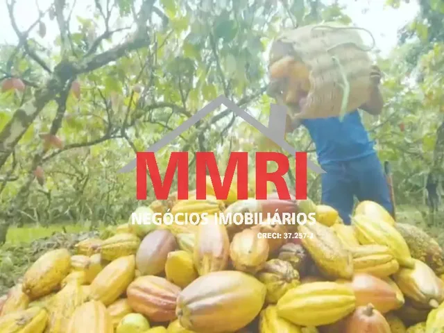 Imagem 3: FAZENDA RURAL em ILHÉUS - BA, BANCO DA VITÓRIA