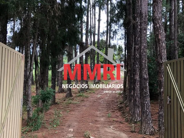 Imagem 5: Oportunidade única: Sítio à venda em Araçoiaba da Serra-SP, bairro Retiro, com