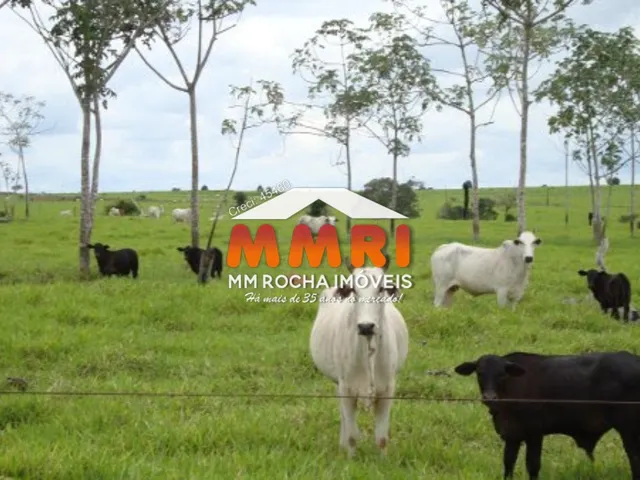 Imagem: FAZENDA RURAL em PORTO ALEGRE DO NORTE