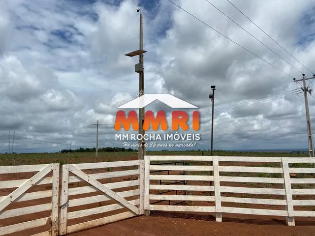 Imagem: Fazenda de Dupla Aptidão no interior do