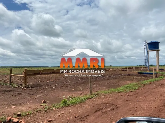 Imagem 7: Fazenda de Dupla Aptidão no interior do Maranhão