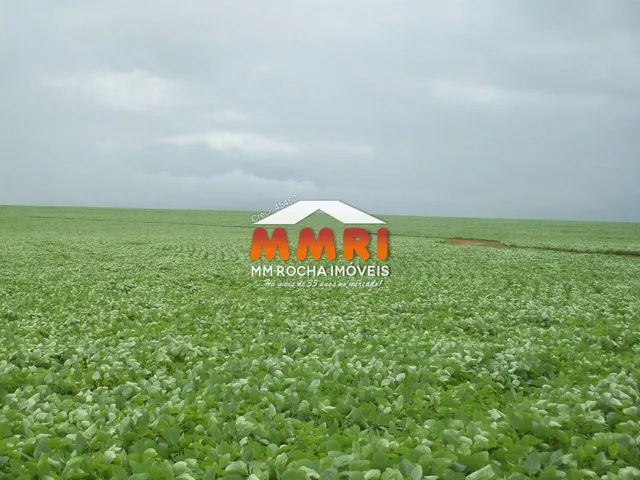 Imagem: Fazenda À Venda no Conceição do Araguaia/Pa