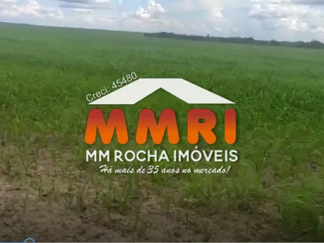 Imagem: A fazenda possui 7 Banheiros, 7.360m² de Área e está