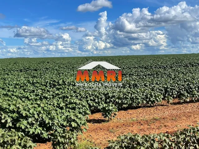 Imagem: Fazenda à venda em Nova Ubiratã-MT - Bairro