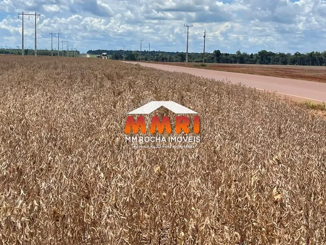Imagem 10: Fazenda à venda em Nova Ubiratã-MT - Bairro Rural com 7 Banheiros e 66.000 hectares de