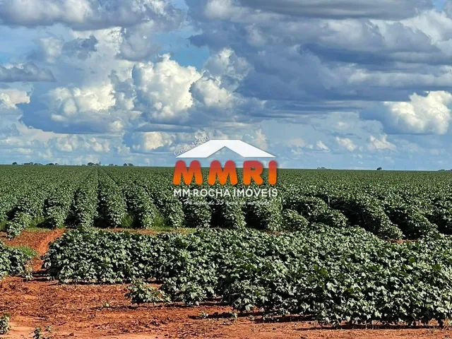 Imagem 13: Fazenda à venda em Nova Ubiratã-MT - Bairro Rural com 7 Banheiros e 66.000 hectares de