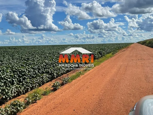 Imagem 16: Fazenda à venda em Nova Ubiratã-MT - Bairro Rural com 7 Banheiros e 66.000 hectares de