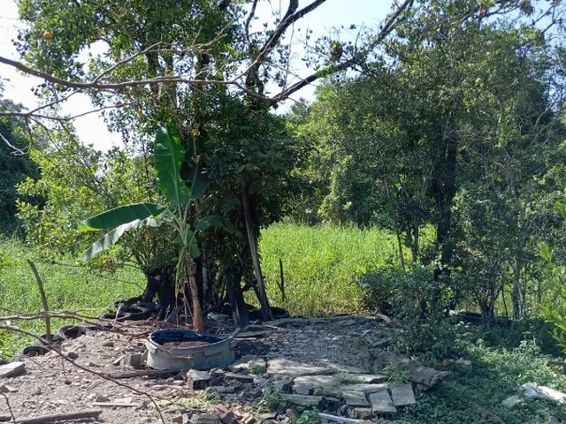 Imagem 14: CASA - MONGAGUÁ