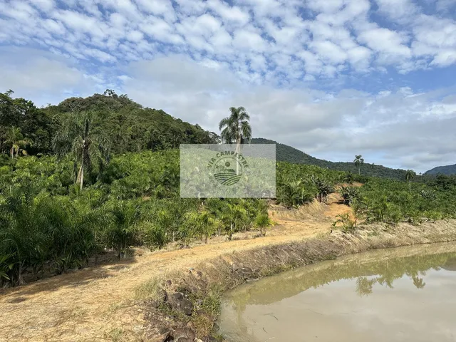 Imagem 2: Terreno para sitio no Quiriri, apenas 5 km do pórtico, escriturado, com lagos e riacho