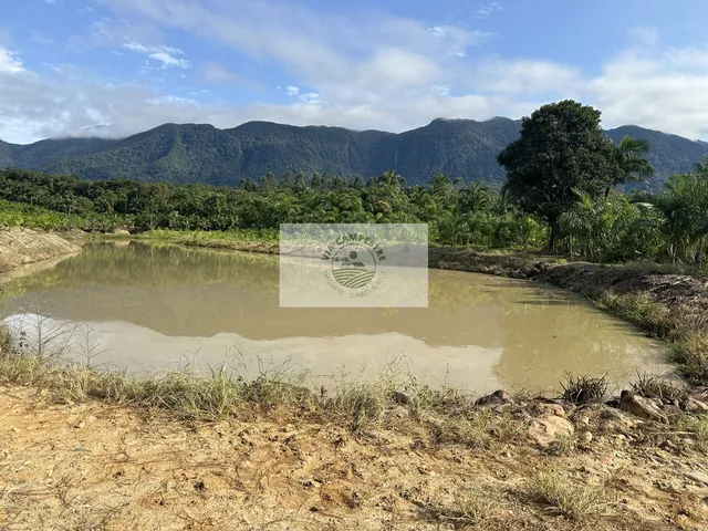 Imagem 5: Terreno para sitio no Quiriri, apenas 5 km do pórtico, escriturado, com lagos e riacho