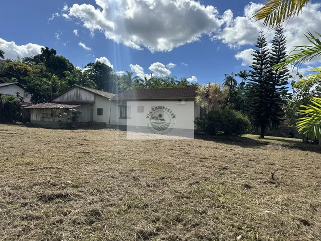 Imagem 7: Terreno para sitio com 2.733 m2 escriturado, com residencia de 3 quartos, lago, toda