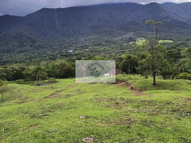 Imagem 3: Sítio com 20.000 m², terreno com pastagem, em aclive, com parte de mata