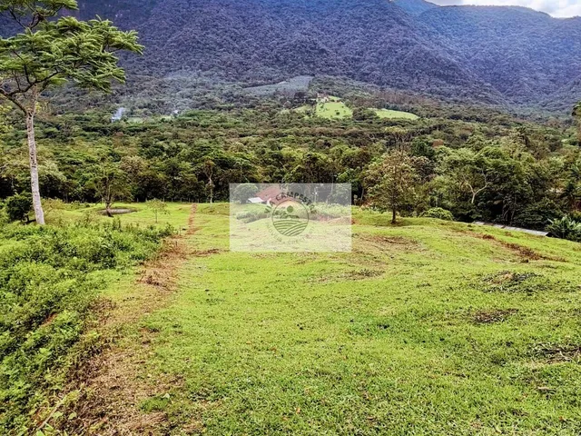 Imagem 6: Sítio com 20.000 m², terreno com pastagem, em aclive, com parte de mata