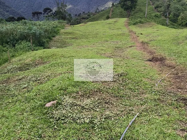 Imagem 9: Sítio com 20.000 m², terreno com pastagem, em aclive, com parte de mata