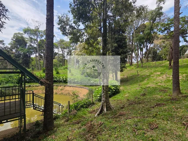 Imagem 16: Terreno urbano com 3.215 m², aceita financiamento, terreno plano com araucarias