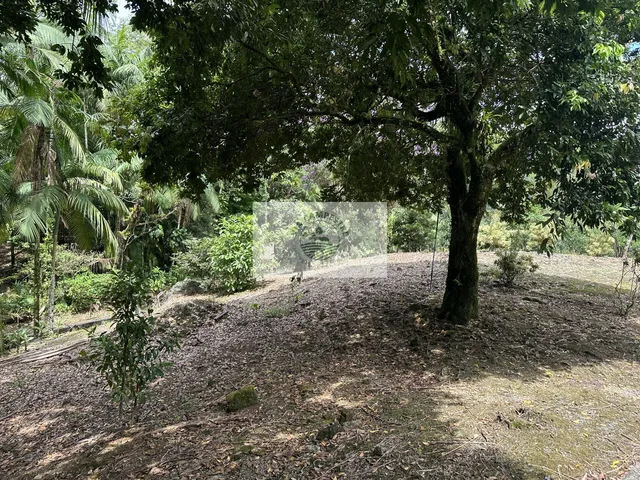 Imagem 9: Sítio com 22.500 m² na Estrada Bonita, com dois chalés, uma casa, piscina