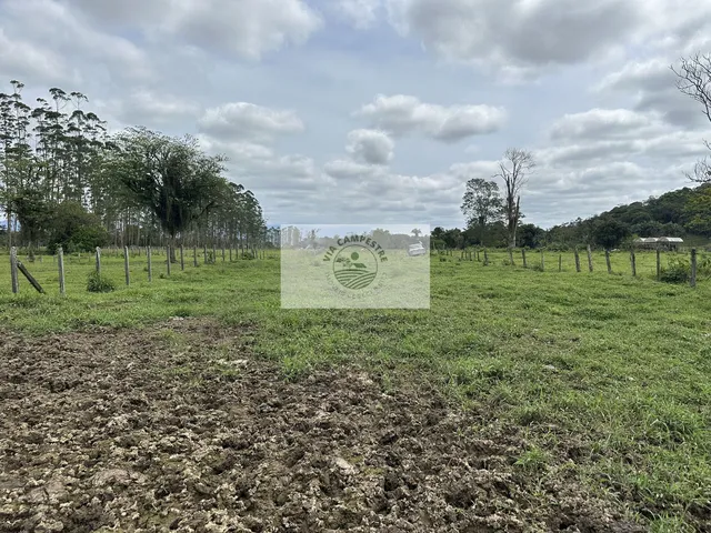 Imagem 12: Terreno com 9.292 m2, de frente para o asfalto, Estrada Timbé, com 2...