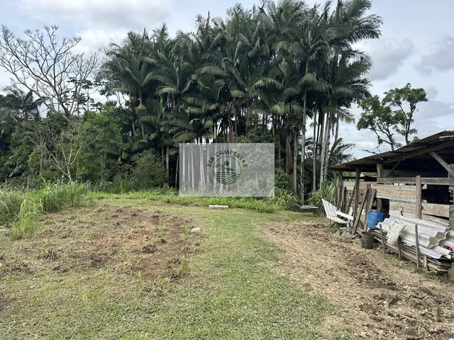 Imagem 5: Terreno com 9.292 m2, de frente para o asfalto, Estrada Timbé, com 2...