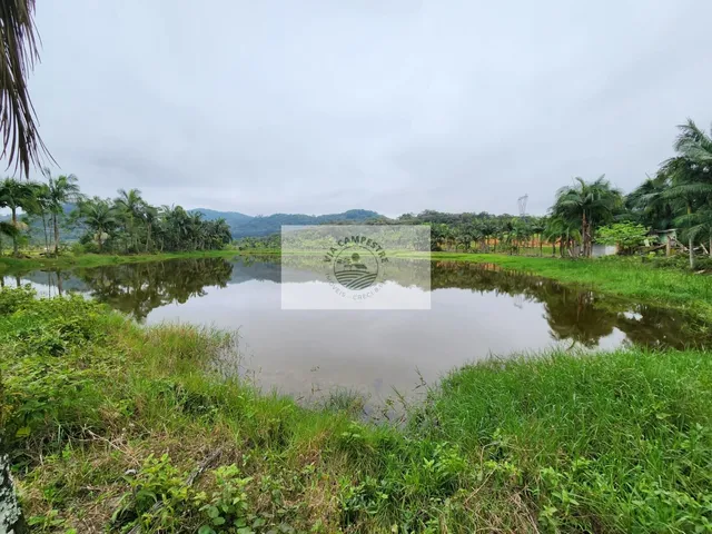 Imagem: Area rural com 352.500 m² na Rodovia do