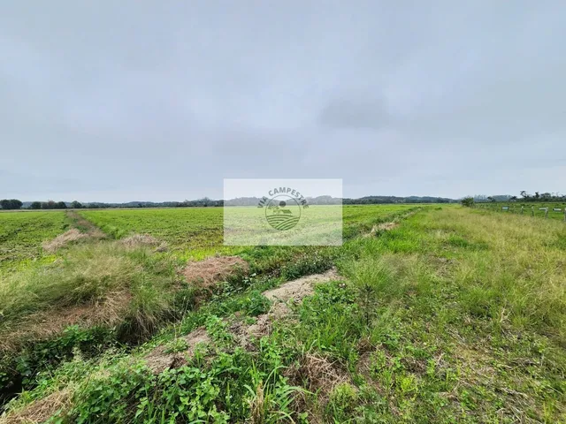 Imagem 9: Area rural com 352.500 m² na Rodovia do Arroz, excelente oportunidade!!