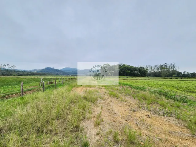 Imagem 8: Area rural com 352.500 m² na Rodovia do Arroz, excelente oportunidade!!