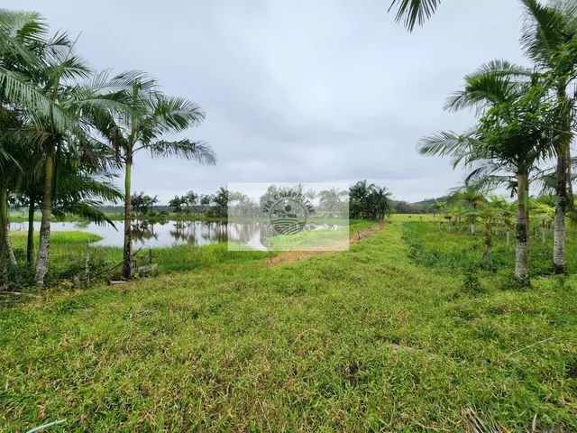 Imagem 5: Area rural com 352.500 m² na Rodovia do Arroz, excelente oportunidade!!