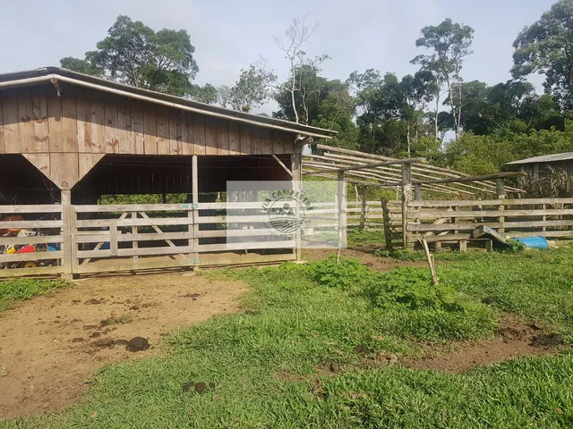 Imagem: Sítio com 59.800 m2, com residência, nascente