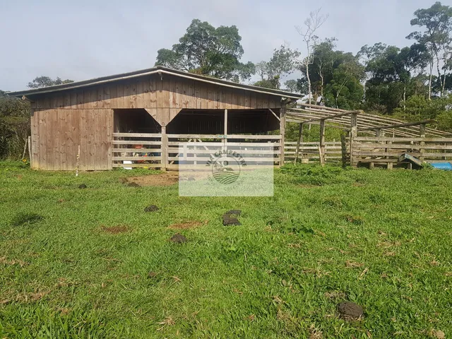 Imagem 2: Sítio com 59.800 m2, com residência, nascente, horta