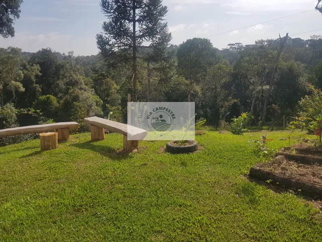Imagem 8: Sítio com 59.800 m2, com residência, nascente, horta