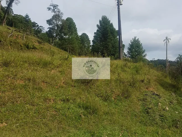 Imagem 14: Sítio com 59.800 m2, com residência, nascente, horta