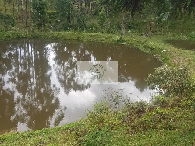 Imagem 7: Sítio com 59.800 m2, com residência, nascente, horta