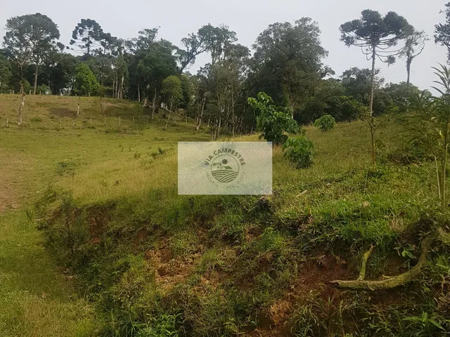 Imagem 10: Sítio com 59.800 m2, com residência, nascente, horta