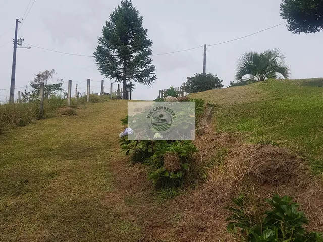 Imagem 9: Sítio com 59.800 m2, com residência, nascente, horta