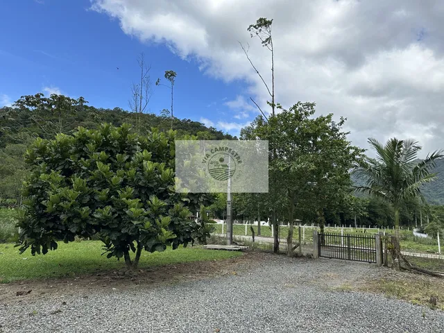 Imagem 10: Sítio com 22.000 m², com duas casas, riacho cristalino, escriturada, frente para rua