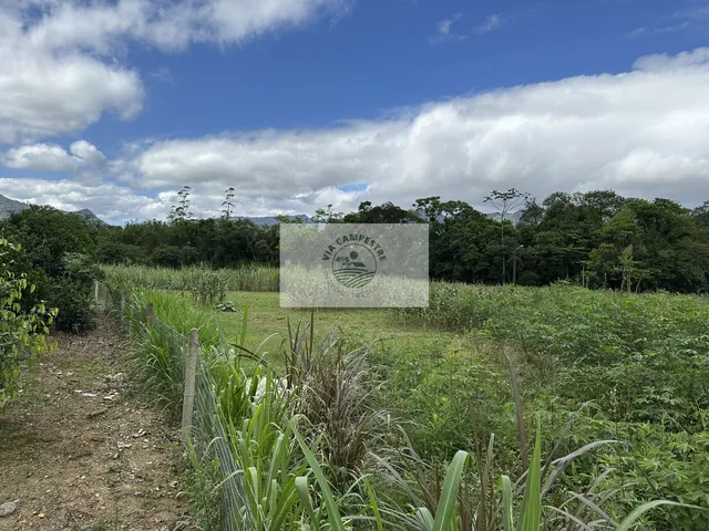 Imagem 13: Sítio com 22.000 m², com duas casas, riacho cristalino, escriturada, frente para rua