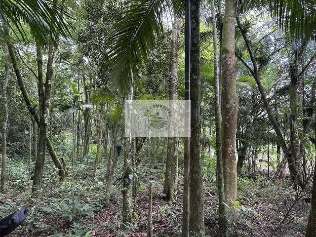 Imagem 15: Sítio com 22.000 m², com duas casas, riacho cristalino, escriturada, frente para rua