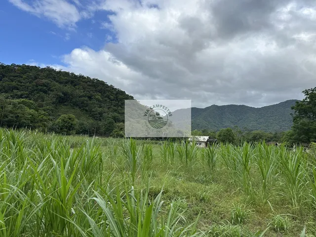 Imagem 13: Sítio com 22.000 m², com duas casas, riacho cristalino, escriturada, frente para rua