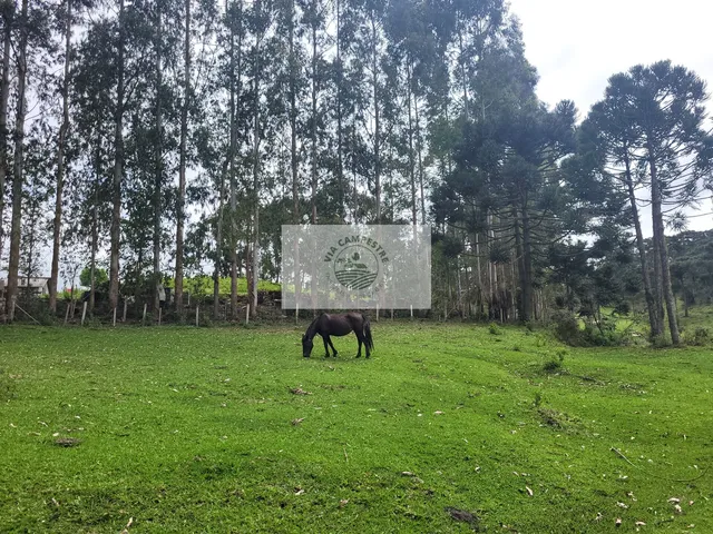 Imagem 3: Sítio com 85.107 m², escriturado, frente para o asfalto, com casa e galpão, região de