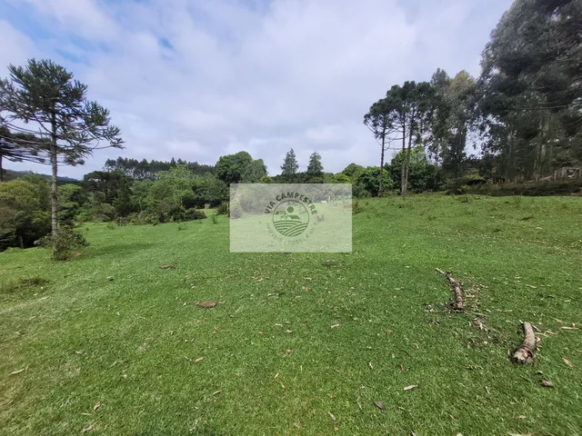 Imagem 12: Sítio com 85.107 m², escriturado, frente para o asfalto, com casa e galpão, região de