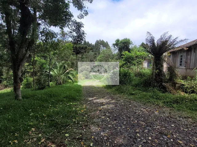 Imagem 15: Sítio com 85.107 m², escriturado, frente para o asfalto, com casa e galpão, região de