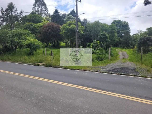 Imagem 12: Sítio com 85.107 m², escriturado, frente para o asfalto, com casa e galpão, região de