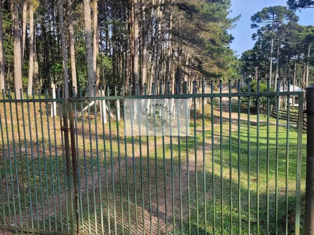 Imagem: Sítio escriturado com 52.000 m², com nascente
