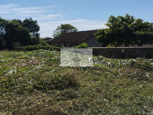 Imagem: Terreno escriturado com 478,40 m2, alto
