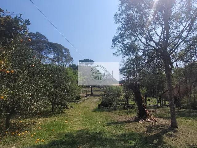 Imagem: Sítio com 5.785 m², documentado, região