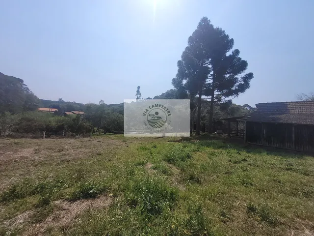 Imagem 13: Sítio com 5.785 m², documentado, região de Avenquinha, com lago, araucárias
