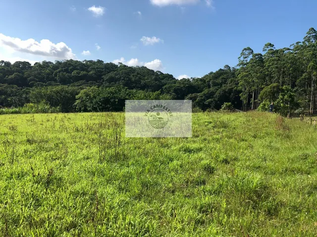 Imagem 10: Chácara com 226.000 m², 3 residências, ranchos, lagos, ótima infraestrutura
